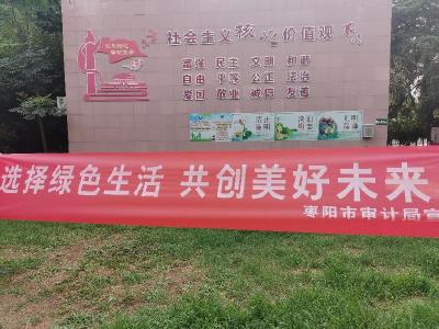 枣阳市审计局开展低碳环保宣传活动