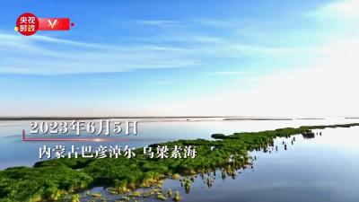 时政微纪录丨心系“三北” 久久为功