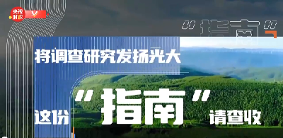 时政微解读丨将调查研究发扬光大，这份“指南”请查收