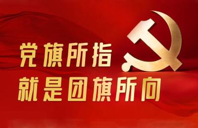 联播＋｜党旗所指就是团旗所向