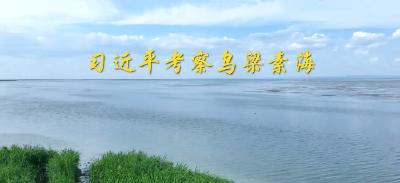 第1视点丨习近平考察乌梁素海