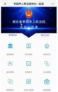 一码在手 全程无忧 枣阳法院诉讼服务“提档升级”