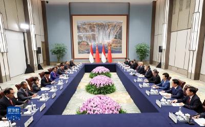独家视频丨习近平：中印尼是志同道合的同路人 好伙伴