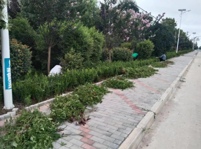 鹿头镇：清理路边杂草 美化路域环境