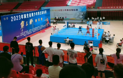 枣阳在湖北省青少年拳击锦标赛斩获1金1银1铜