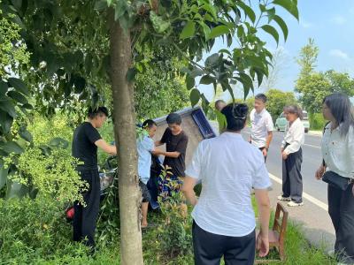 鹿头镇干部检查工作途中出手救援受伤群众