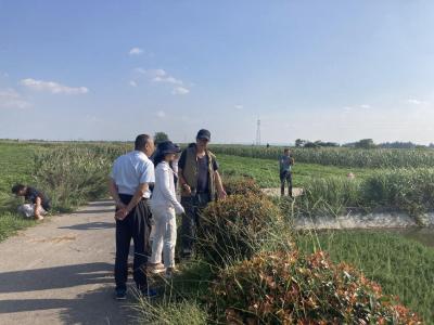 枣阳市农业外来入侵物种普查面上调查通过市级质量控制评审