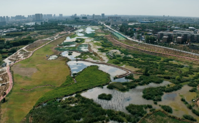 共赏生态之美 共建水美家园