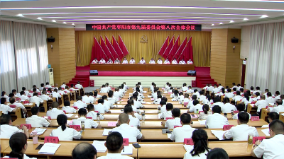 V视 | 中国共产党枣阳市第九届委员会第八次全体会议举行