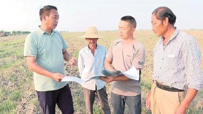 “傻书记”的事迹在家乡引起强烈反响 乡亲盛赞王春红是乡村振兴领头雁