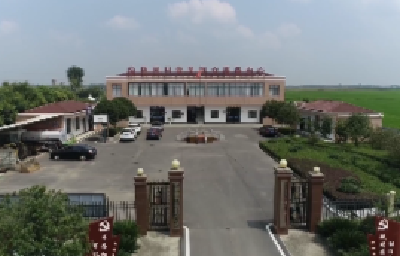 V视 | 杨垱镇桃园村：头雁引领聚合力，集体经济增效益