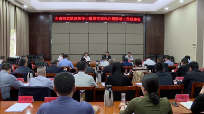 V视 | 市扫黑除恶斗争领导小组暨全市常态化扫黑除恶工作推进会召开
