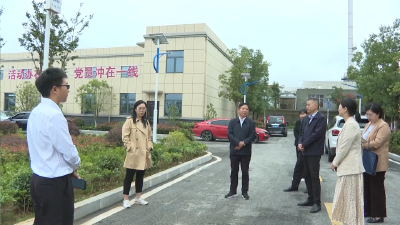 V视 | 康丹调研督办党委书记抓重点人才项目展示观摩暨枣阳一中百年校庆筹备工作