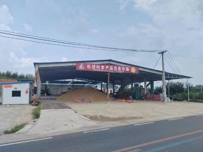 刘升镇杜垱村：党建引领 发展壮大集体经济