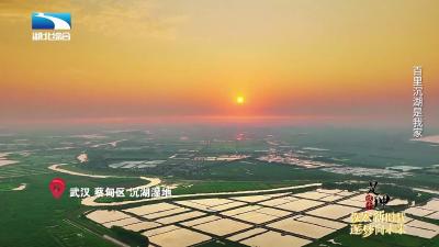 《是这个理》：百里沉湖是我家