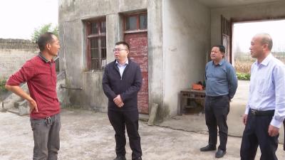 V视 | 市领导杨朝晖到太平镇走访调研
