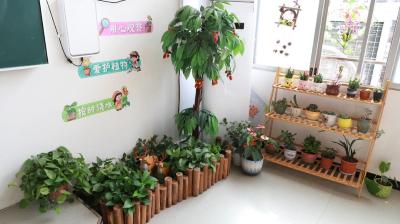装点角落之美  提升文化内涵