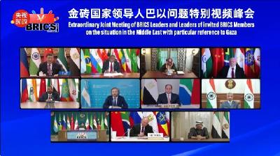 独家视频 | 习近平：中方呼吁凝聚国际促和共识 推动巴勒斯坦问题早日得到全面 公正 持久解决