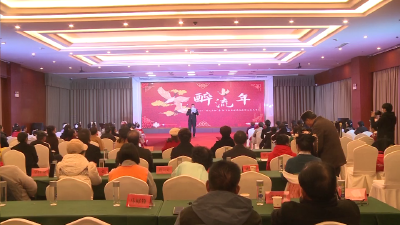 V视 | 全国醉流年旗袍汉服文化大赛枣阳站举行