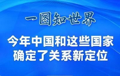 一图知世界｜今年中国和这些国家确定了关系新定位