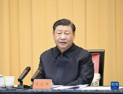 习近平主持召开深入推进长三角一体化发展座谈