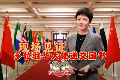 时政Vlog丨现场见证！多位驻华大使递交国书