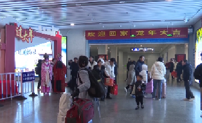 V视 | “跃”龙门过大年 我市举办“龙年共团圆幸福快乐年”活动