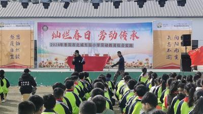 枣阳市北城东园小学： 灿烂春日  劳动传承