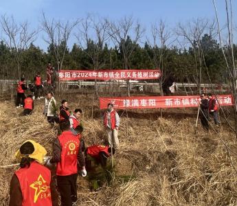 志愿红助推绿满枣阳再提升