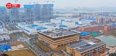 习近平湖南行丨技术创新驱动低碳未来——走进巴斯夫杉杉电池材料有限公司