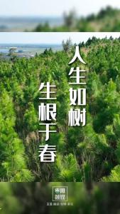 人生如树 生根于春