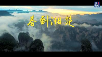 第1视点｜春到湘楚