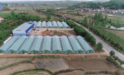 V视 | 我市提升水稻工厂化集中育秧水平 打牢粮食增产基础