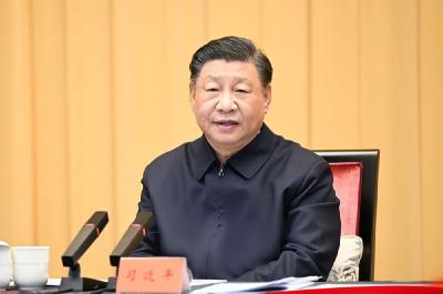 镜观·回响丨从一个区，看长三角更高水平开放