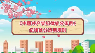 《中国共产党纪律处分条例》纪律处分运用规则