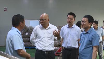 V视 | 襄阳市政府副市长朱东斌来枣调研