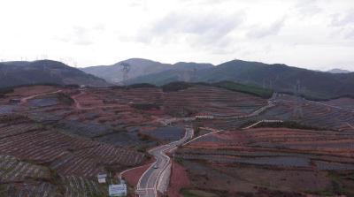 习近平总书记关切事｜凉山村寨纪行