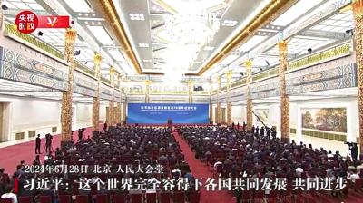 独家视频丨习近平：这个世界完全容得下各国共同发展 共同进步