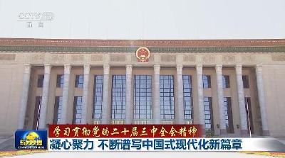 【学习贯彻党的二十届三中全会精神】凝心聚力 不断谱写中国式现代化新篇章