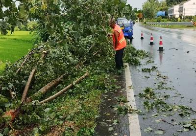 枣阳市公路养护中心清理路障保畅通