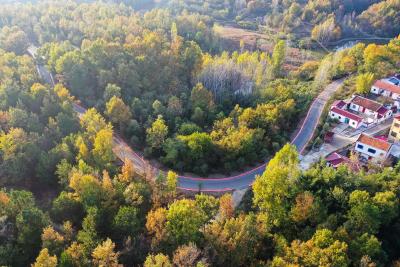 枣阳市白龙路获评襄阳市“十大最美农村路”