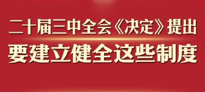 二十届三中全会《决定》提出要建立健全这些制度