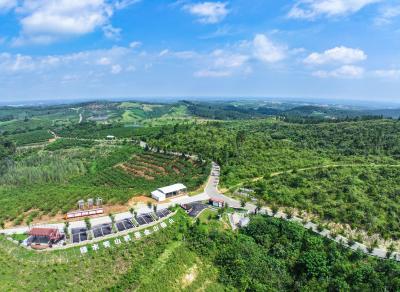 湖北枣阳：共同缔造连心路 发展蝶变惠民生