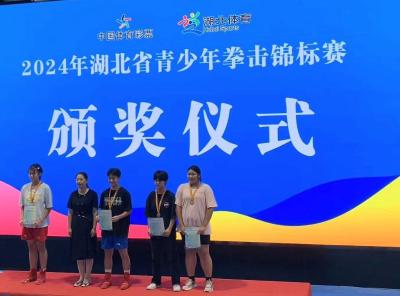 省青少年拳击锦标赛枣阳斩获一银一铜