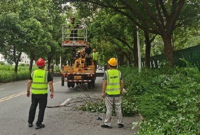 枣阳城区环境综合整治园林绿化工作稳步推进