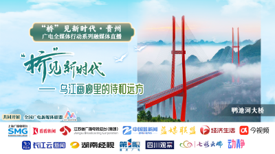 桥见新时代|贵州：乌江画廊里的诗和远方