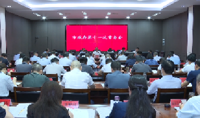 V视 | 孔令波主持召开市政府2024年第十一次常务会议