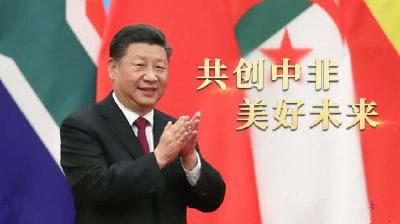 时政长镜头丨共创中非美好未来