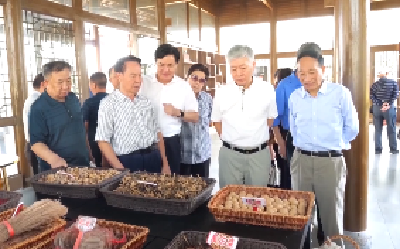 V视 | 襄阳市人大常委会退休老领导到我市考察调研乡村振兴、文旅产业发展等工作