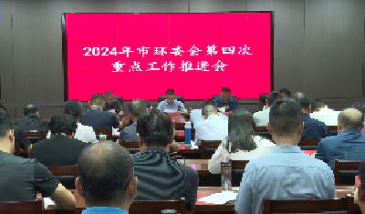 V视 | 市环委会召开2024年度第四次重点工作推进会